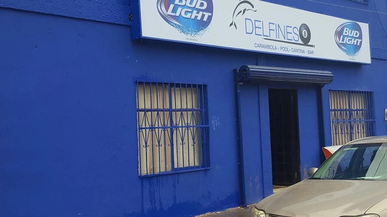 Delfines Billar Bar