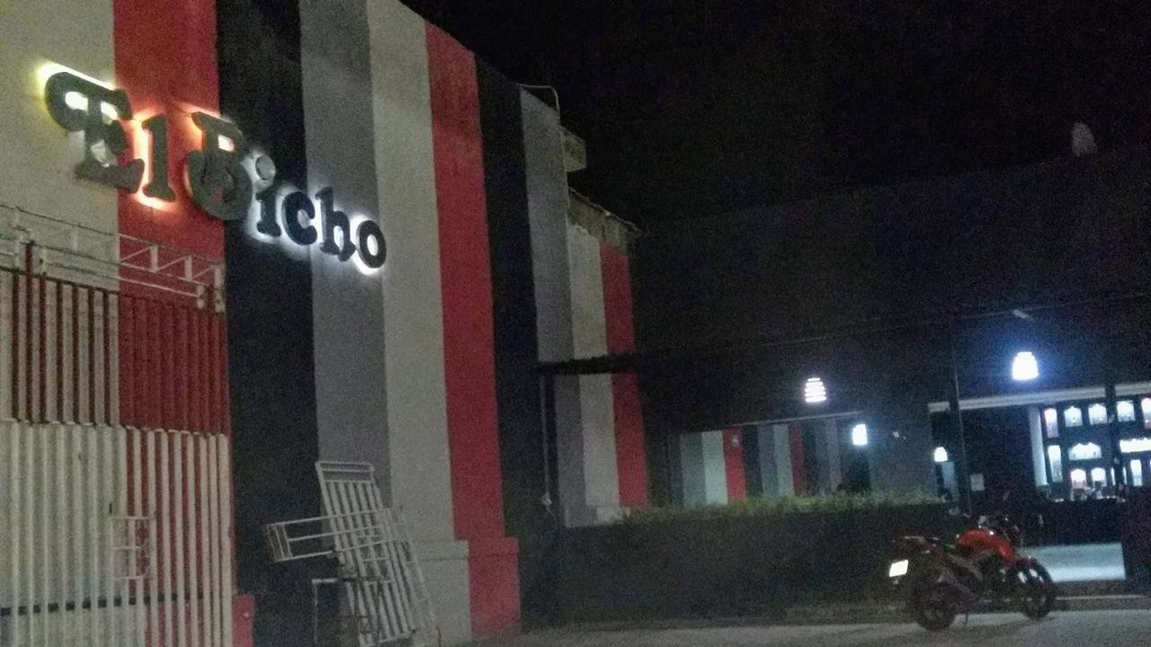 El Bicho Norte